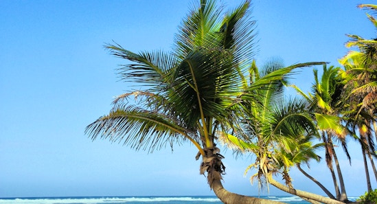 What are you doing on New Year's Eve? 8 unconventional, out-of-the-box ideas