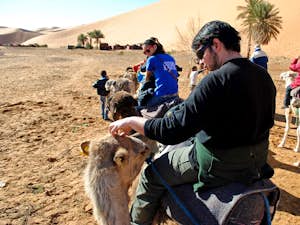 Erg Chebbi