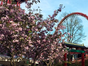 Giardini di Tivoli montagne russe
