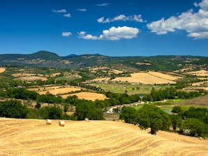 Grosseto parco della Maremma