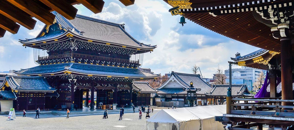 Scopri i migliori Tour e Attività per visitare le attrazioni di Kyoto