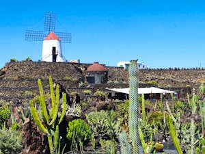 Lanzarote giardino cactus