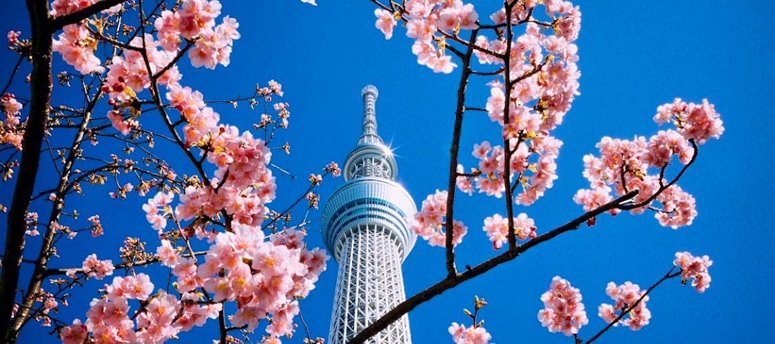 Vuoi salire sulla Tokyo SkyTree? Scopri le offerte sui biglietti e prenota ora