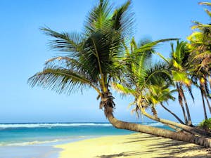 Cuba spiaggia vivicity