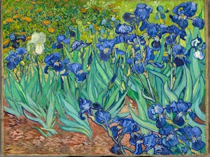 Irises Vincent van Gogh wikipedia