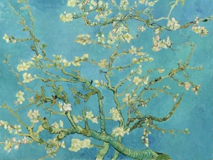 Ramo di mandorlo wikipedia