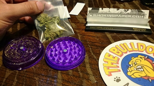 the bulldog marijuana