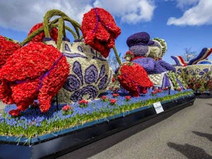 flower parade lisse