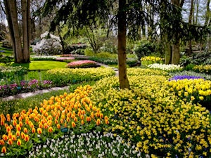 Parco Keukenhof fiori colorati