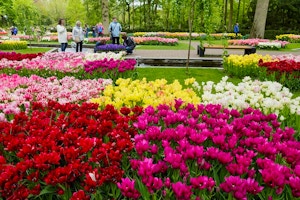 Parco Keukenhof scorcio