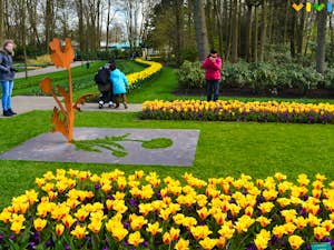 24 Keukenhof tulipani