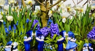 38 Keukenhof ceramiche