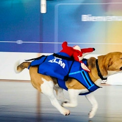 A Schiphol nasce KLM Lost & Found, il servizio di restituzione oggetti smarriti