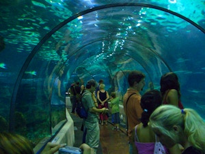 Aquarium de Barcelone Commons Wikipedia
