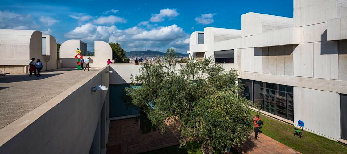 Biglietto salta la coda per la Fundació Joan Miró