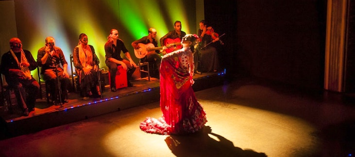 Vivez la magie du flamenco dans le meilleur 