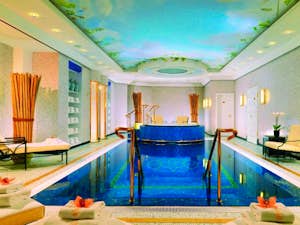 Hotel the ritz carlton