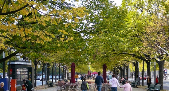 Unter den Linden: Il lungo viale