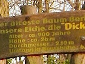 dicke marie