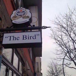 the Bird Berlino
