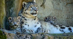 Foto di kuhnmi flickr