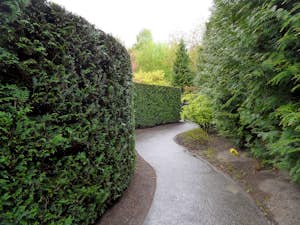 Erholungspark Giardino giapponese onnola flickr