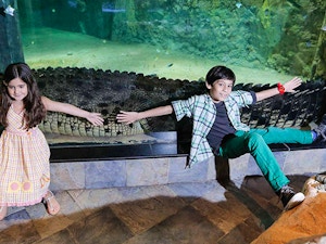 Acquario Dubai Mall 6