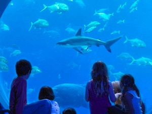 Parco Acqquatico Dubai 4