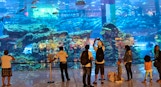 Dubai Aquarium Wikipedia