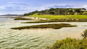 Ria Formosa