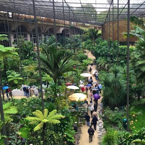 Estufa Fria foto di Bex Walton