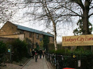 Hackney city farm londra