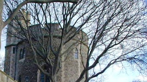 bowyer tower