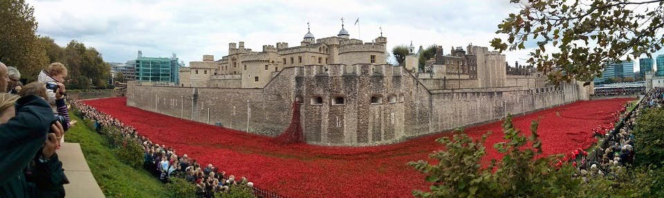 papaveri rossi tower london
