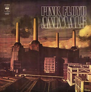 pink floyd animals