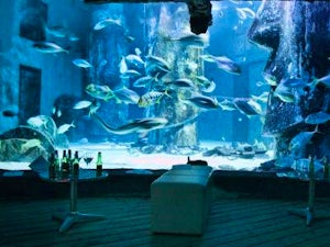 sealifebar