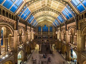 Natural History Museum lozwilkes flickr