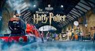Harry Potter top