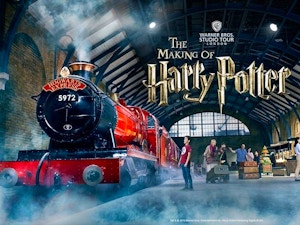 Harry Potter top