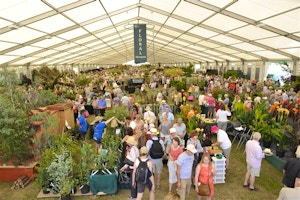 Hampton Court De Boer