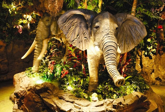 rainforest cafe elefante