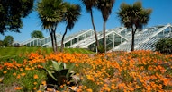 Kew gardens 2