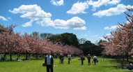 Brooklyn Botanic Garden