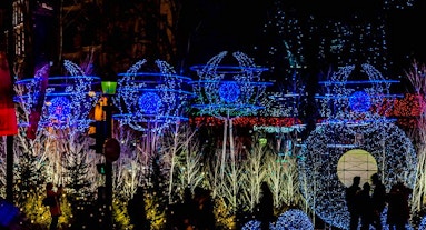 Cosa mangiare per andare in bagno Cosa mangiare per andare in bagno