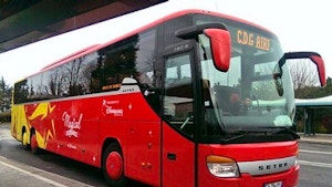 Navetta per Disneyland