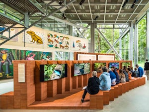 Fondation Cartier Luc Boegly facebook