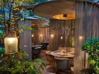 Camelia ristorante parigi
