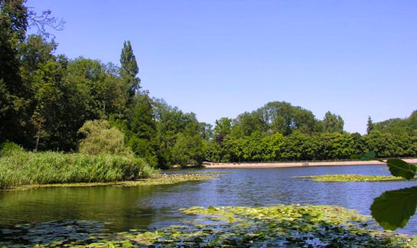 Foret de la Malmaison d