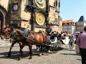 carrozza cavalli tour praga